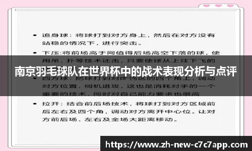 南京羽毛球队在世界杯中的战术表现分析与点评